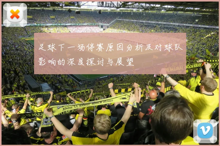 足球下一场停赛原因分析及对球队影响的深度探讨与展望