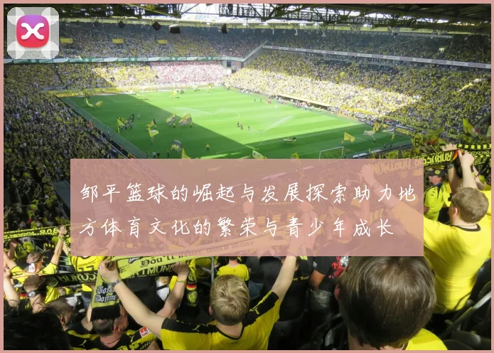 邹平篮球的崛起与发展探索助力地方体育文化的繁荣与青少年成长